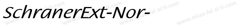 SchranerExt-Nor字体转换