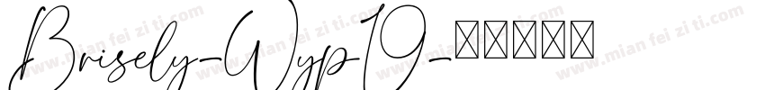 Brisely-Wyp19字体转换
