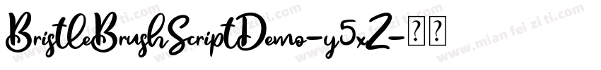 BristleBrushScriptDemo-y5xZ字体转换