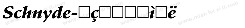 Schnyde字体转换