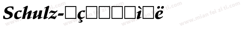 Schulz字体转换