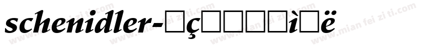 schenidler字体转换
