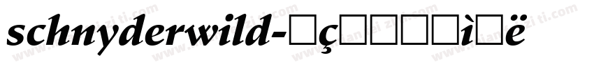 schnyderwild字体转换