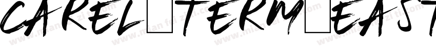 CAREL_TERM_EAST字体转换