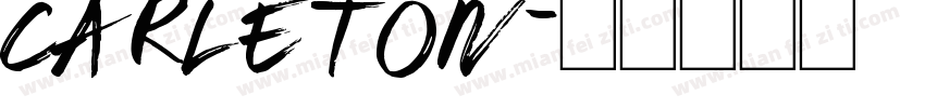 CARLETON字体转换