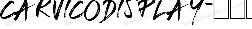 CARVICODISPLAY字体转换