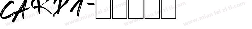 Card1字体转换