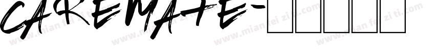 Caremate字体转换