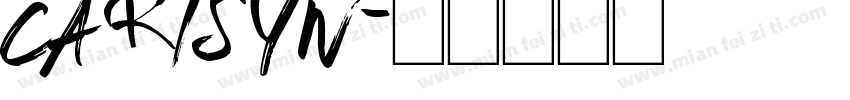 Carisyn字体转换