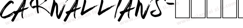 Carnallians字体转换