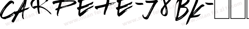 Carpete-J8BK字体转换