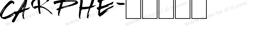 Carphe字体转换