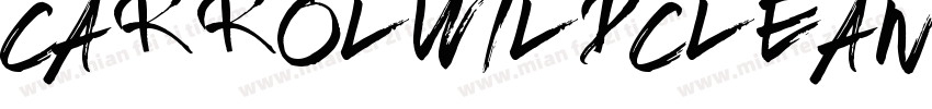 CarrolwildClean-9YpK字体转换