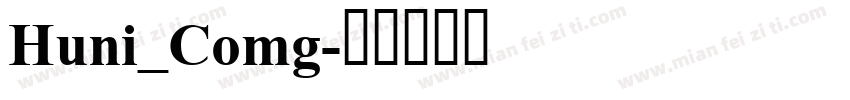 Huni_Comg字体转换