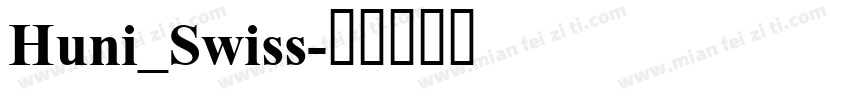 Huni_Swiss字体转换