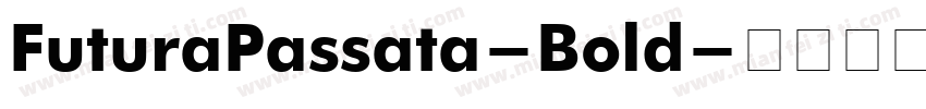 FuturaPassata-Bold字体转换