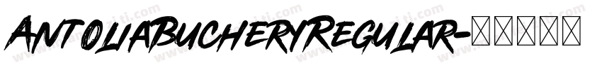 AntoliaBucheryRegular字体转换