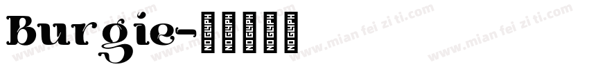 Burgie字体转换