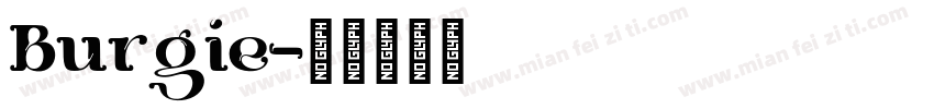Burgie字体转换