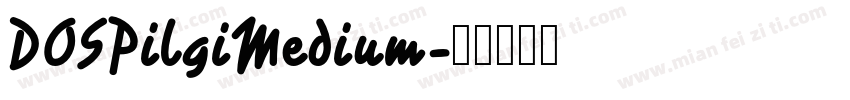 DOSPilgiMedium字体转换