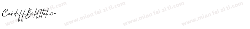 CardiffBoldItalic字体转换