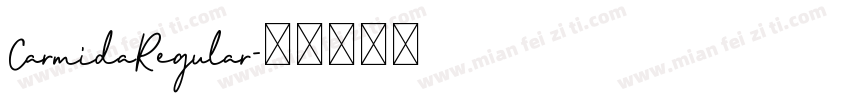 CarmidaRegular字体转换