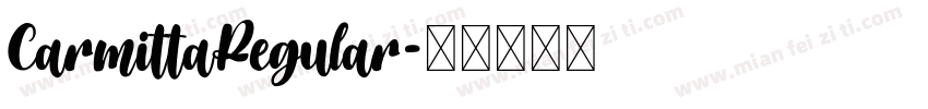 CarmittaRegular字体转换