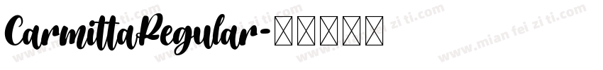 CarmittaRegular字体转换
