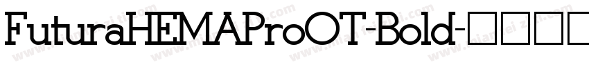 FuturaHEMAProOT-Bold字体转换