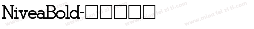 NiveaBold字体转换