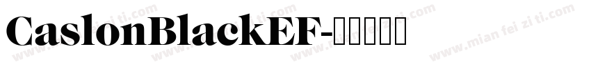 CaslonBlackEF字体转换