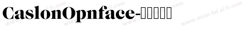 CaslonOpnface字体转换