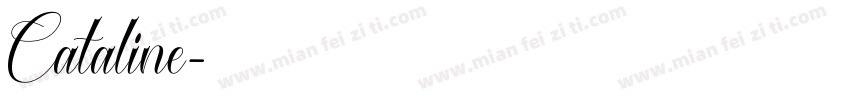 Cataline字体转换