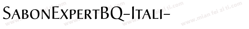 SabonExpertBQ-Itali字体转换