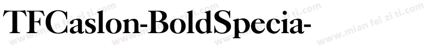 TFCaslon-BoldSpecia字体转换