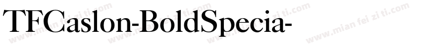 TFCaslon-BoldSpecia字体转换