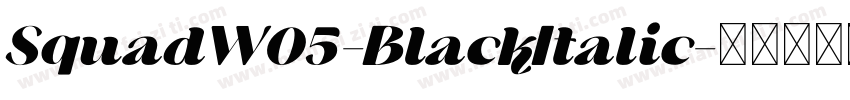 SquadW05-BlackItalic字体转换
