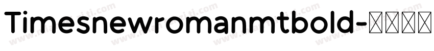 Timesnewromanmtbold字体转换