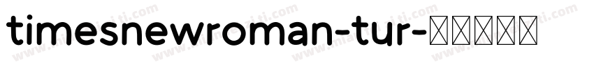 timesnewroman-tur字体转换