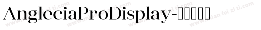 AngleciaProDisplay字体转换