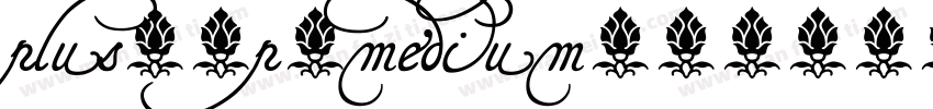 plus-1p-medium字体转换