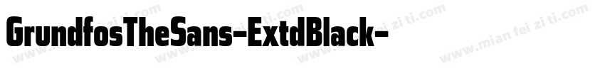 GrundfosTheSans-ExtdBlack字体转换