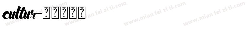 cultur字体转换