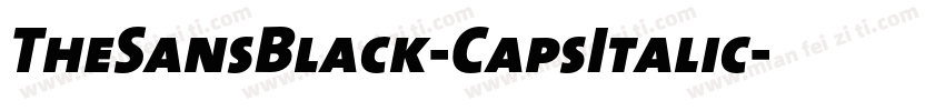 TheSansBlack-CapsItalic字体转换