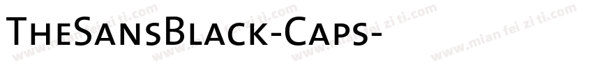 TheSansBlack-Caps字体转换