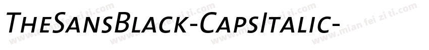 TheSansBlack-CapsItalic字体转换
