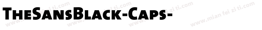TheSansBlack-Caps字体转换