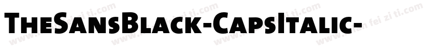 TheSansBlack-CapsItalic字体转换