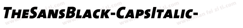 TheSansBlack-CapsItalic字体转换