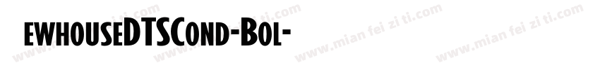 NewhouseDTSCond-Bol字体转换